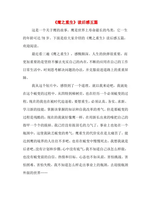 《鹰之重生》读后感五篇