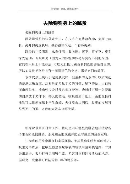 去除狗狗身上的跳蚤