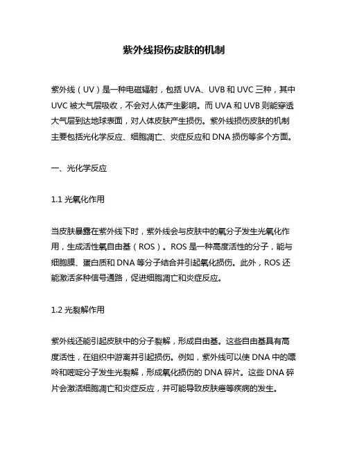 紫外线损伤皮肤的机制