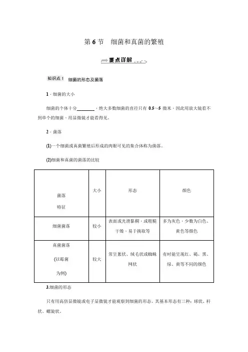 第1章 第6节 细菌和真菌的繁殖-浙教版七年级科学下册知识点总结练习