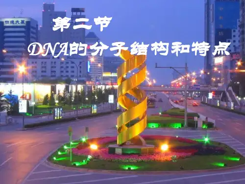 dna的分子结构和特点PPT课件