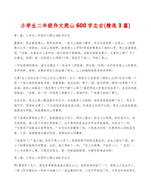 小学生二年级作文爬山600字左右(精选3篇)
