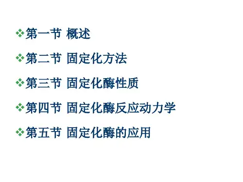 酶工程第四章PPT幻灯片