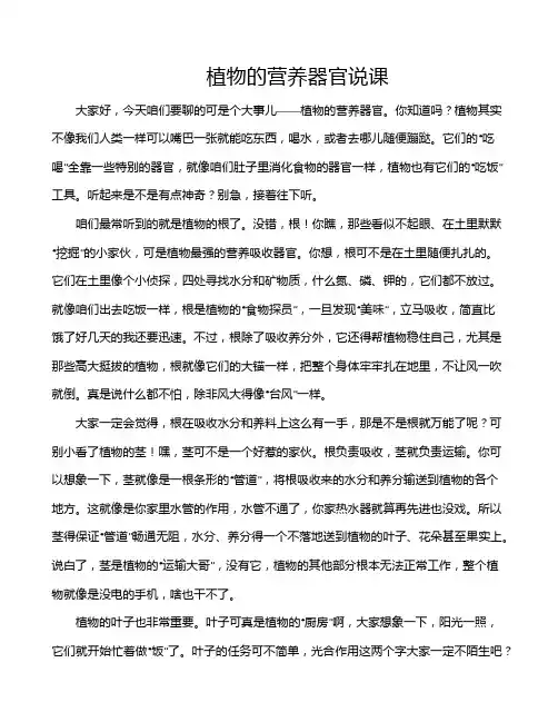 植物的营养器官说课