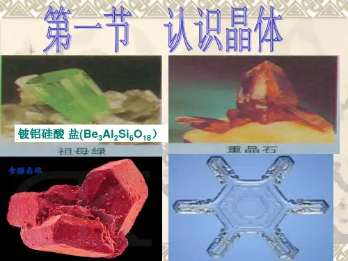 《认识晶体以及均摊法》PPT课件
