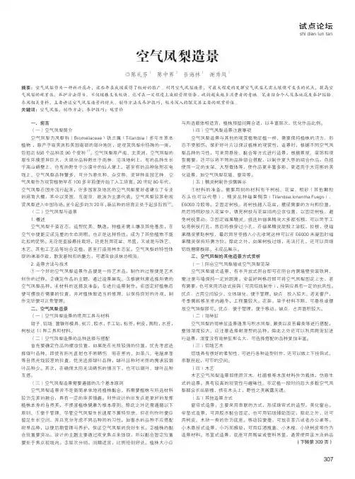 空气凤梨造景