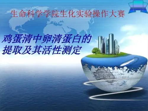 实验设计：卵清蛋白