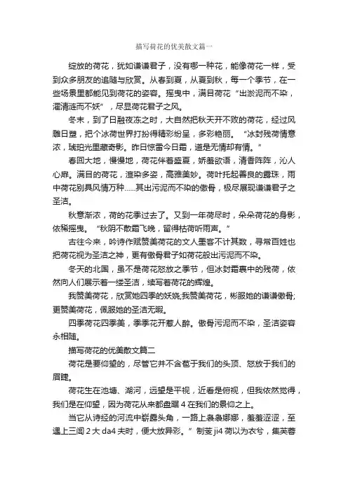 描写荷花的优美散文3篇