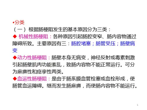 肠梗阻病人护理