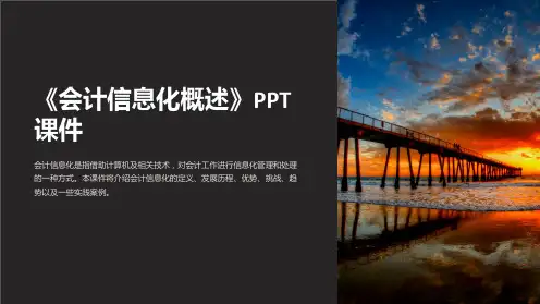 《会计信息化概述》课件