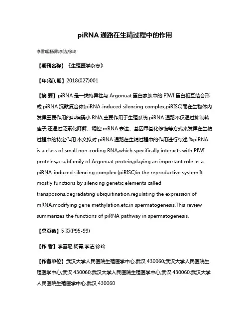piRNA通路在生精过程中的作用