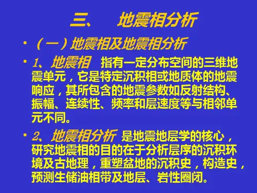 第三节地震相分析资料.