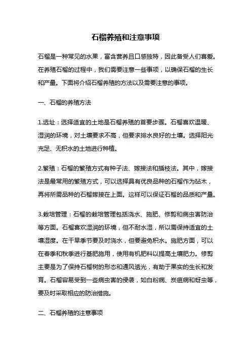石榴养殖和注意事项