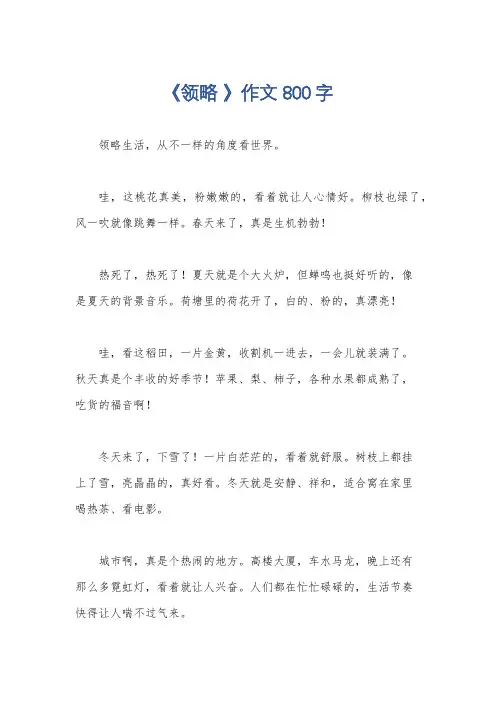 《领略 》作文800字