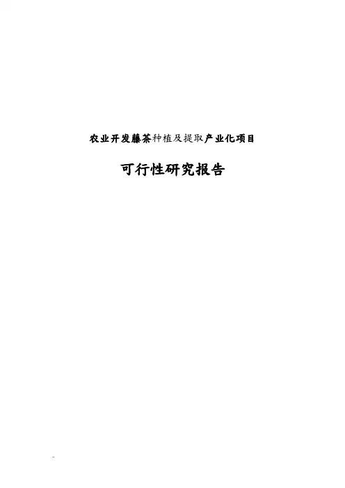 农业开发藤茶种植及提取产业化可行性研究报告