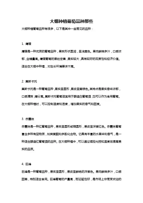 大棚种植葡萄品种那些