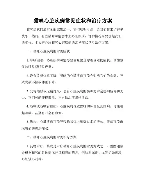 猫咪心脏疾病常见症状和治疗方案