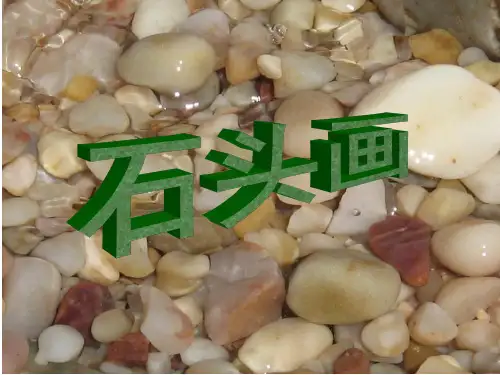2018年春新编教材 苏教版小学科学一年级下册 全套课件