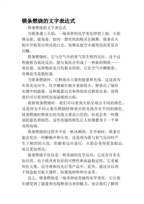 镁条燃烧的文字表达式