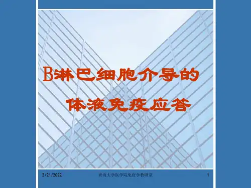 第十三章B淋巴细胞介导的体液免疫应答