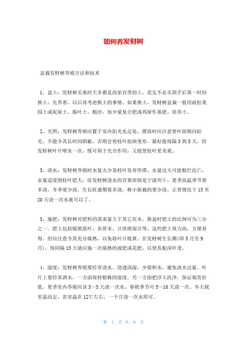 如何养发财树
