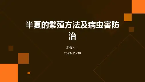 半夏的繁殖方法及病虫害防治