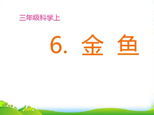 教科版三年级科学上册《金鱼》优质课课件