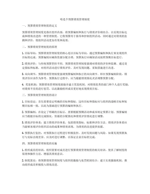 啥是个预算绩效管理制度