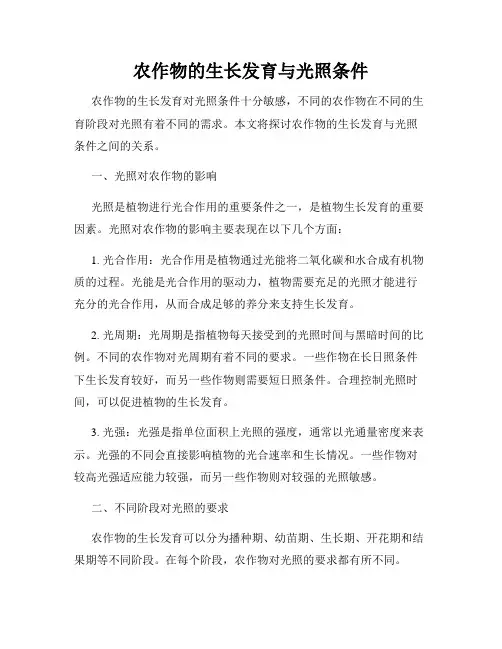 农作物的生长发育与光照条件