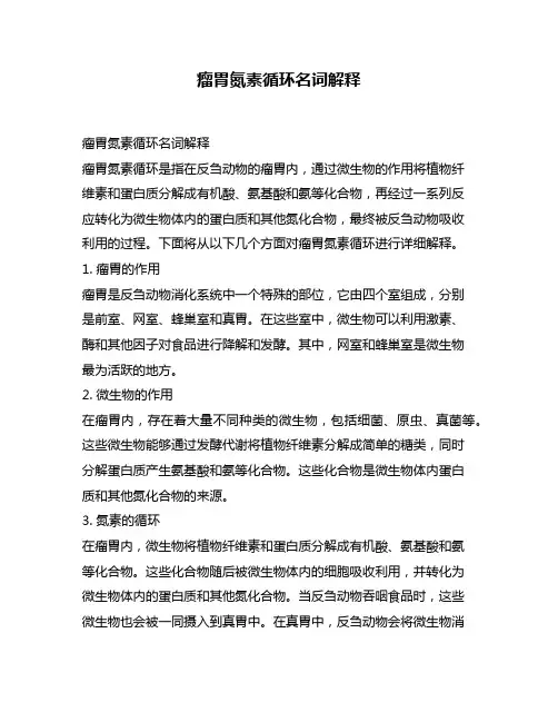 瘤胃氮素循环名词解释
