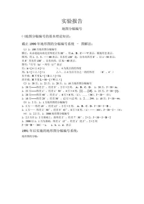 实验报告