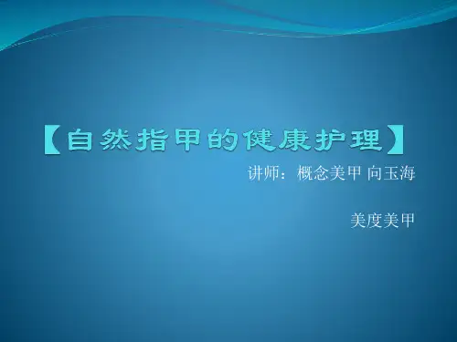 指甲构成PPT