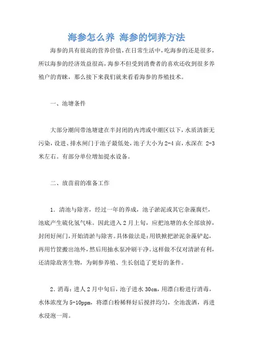 海参怎么养 海参的饲养方法