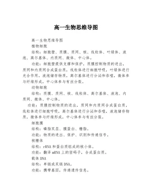 高一生物思维导图