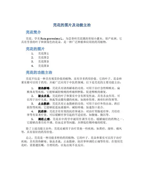 芫花的图片及功能主治