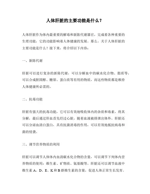 人体肝脏的主要功能是什么？