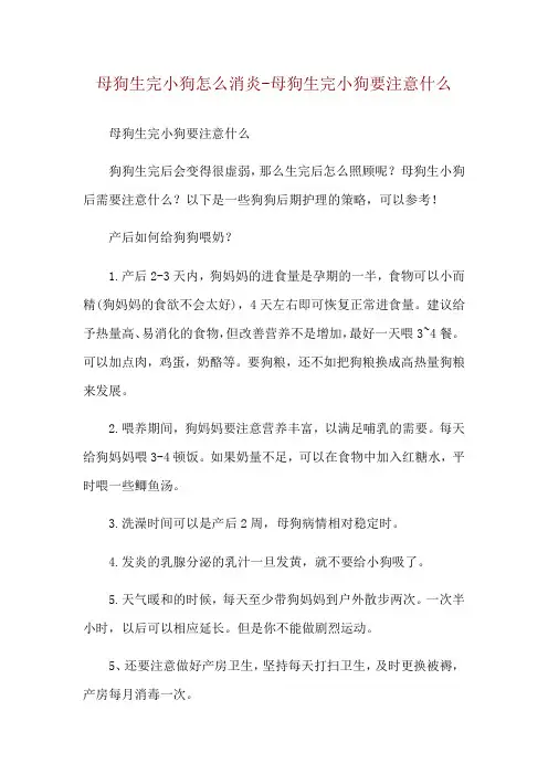 母狗生完小狗怎么消炎-母狗生完小狗要注意什么