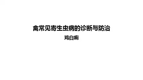 鸡白痢课件(共41张PPT)《禽病防治》