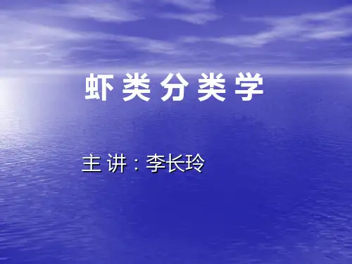 虾类分类学