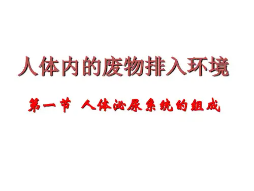 苏教版生物七下11.1《人体泌尿系统的组成》课件(共27张PPT)