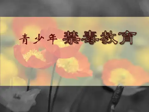 青少年禁毒教育