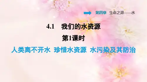 人类离不开水珍惜水资源水污染及其防治PPT课件