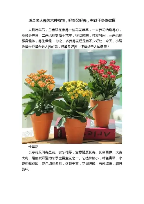 适合老人养的六种植物，好看又好养，有益于身体健康