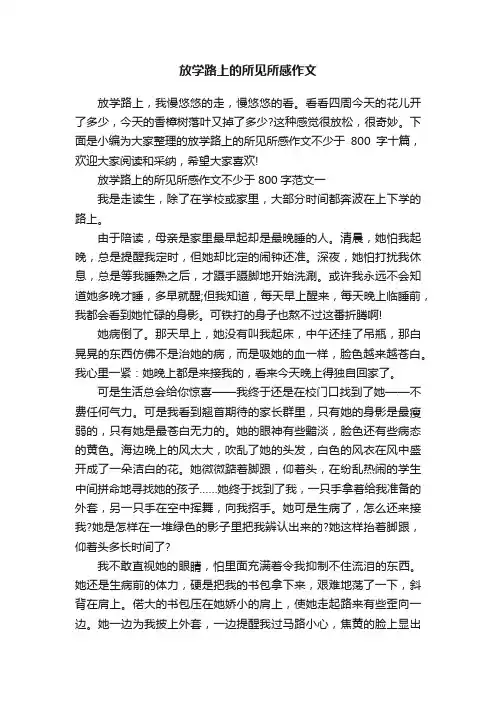 放学路上的所见所感作文