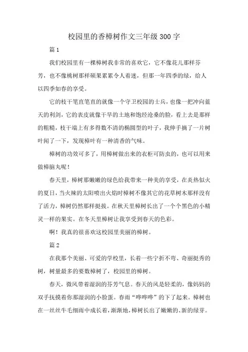 校园里的香樟树作文三年级300字