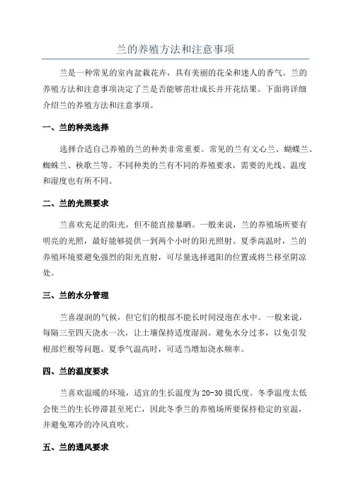 兰的养殖方法和注意事项