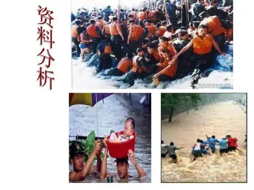 人教版教学课件[名校联盟]福建省莆田八中高二生物《51 生态工程的基本原理》课件(人教版选修三)