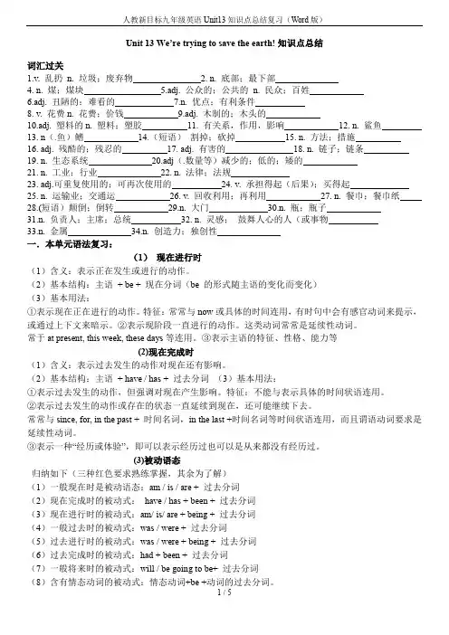 人教新目标九年级英语Unit13知识点总结复习(Word版)