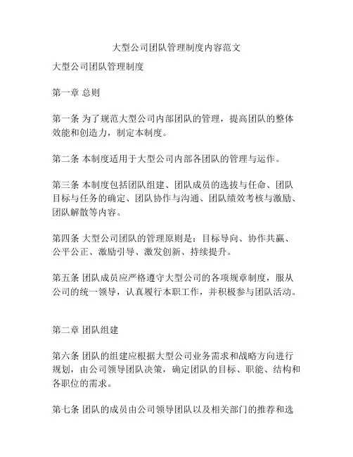 大型公司团队管理制度内容范文