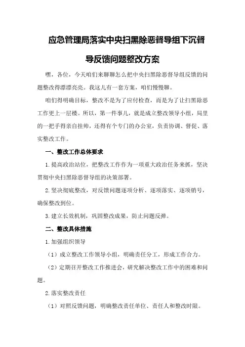应急管理局落实中央扫黑除恶督导组下沉督导反馈问题整改方案